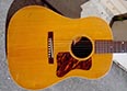 Gibson