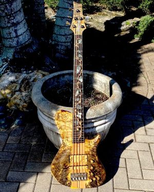 2015 Warrior Isabella 5 String 20th Anniversary Bass
