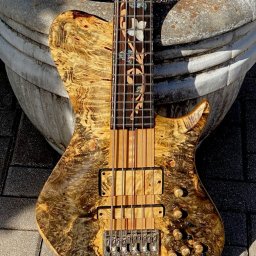 2015 Warrior Isabella 5 String 20th Anniversary Bass