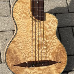 2001 Rick Turner Renaissance RB5-F 5-String Fretless Bass