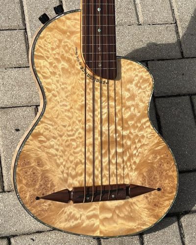 2001 Rick Turner Renaissance RB5-F 5-String Fretless Bass