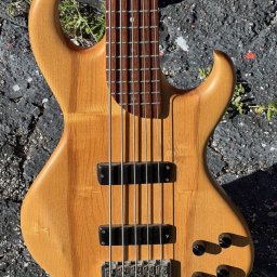 2001 Rick Turner Electroline 5-String Bass