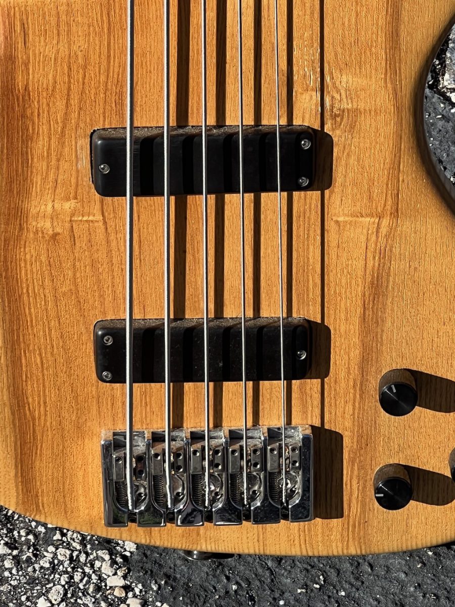 2001 Rick Turner Electroline 5-String Bass