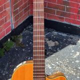 1982 Gibson Chet Atkins CE