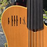 2001 Godin A5 SG EBFL 5-String Bass