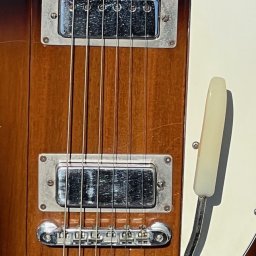 1972 Gibson Firebird V Medallion Ltd. Edition # 367