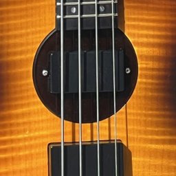 2000 Rick Turner Model 2 Deluxe Bass