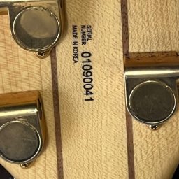 2001 Raven R5000G 5-string Bass