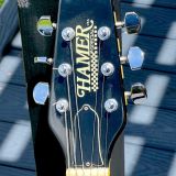 1981 Hamer Special Checkerboard