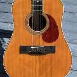 1972 B.C.Rich B-28-8 12-String