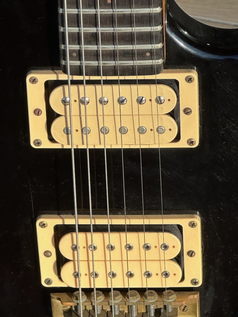 1980 Renaissance SPG Black Lucite Guitar