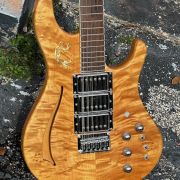 2000 Pavel 12-String Electric Hollow Body