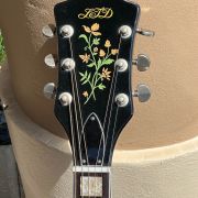 1969 LTD by Silvertone model 319 Jumbo