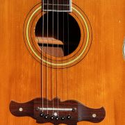 1969 LTD by Silvertone model 319 Jumbo