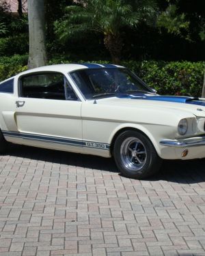 1966 Shelby GT-350