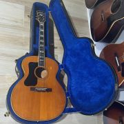 1966 Guild F-50 Bl. L.H.