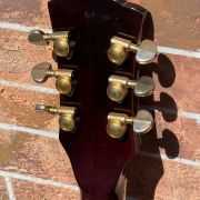 1967 Guild DE-500 Duane Eddy Signature