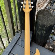 2009 Giffin T-1