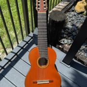 1984 Batiste Bofi Concierto 10-String Classical