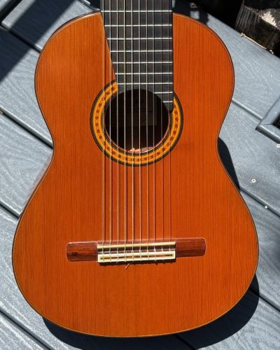 1984 Batiste Bofi Concierto 10-String Classical