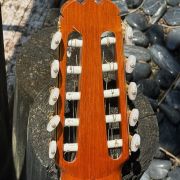 1984 Batiste Bofi Concierto 10-String Classical