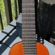 1984 Batiste Bofi Concierto 10-String Classical
