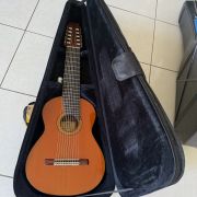 1984 Batiste Bofi Concierto 10-String Classical