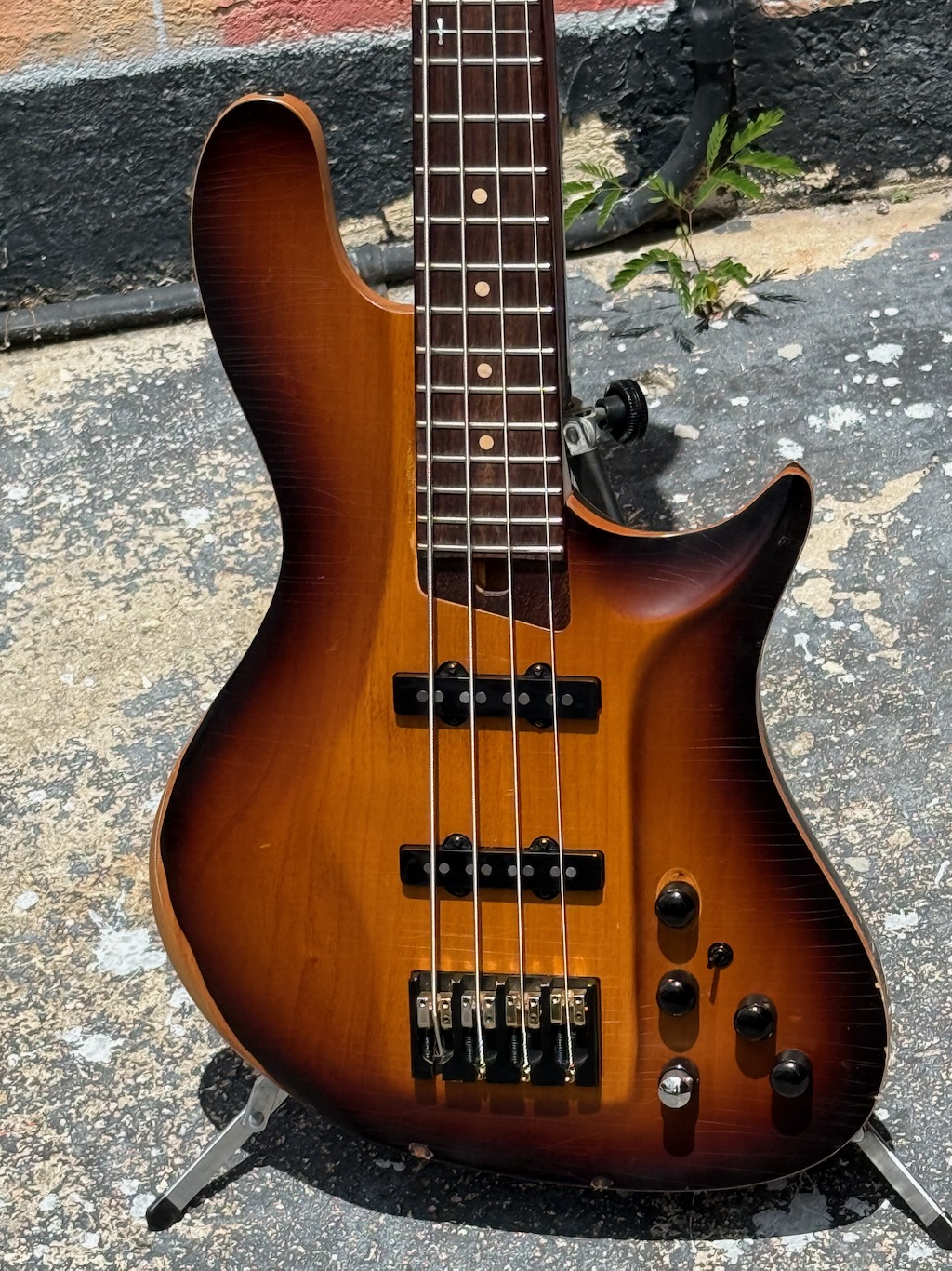 2020 Warrior Bella “California Exclusive” Bass
