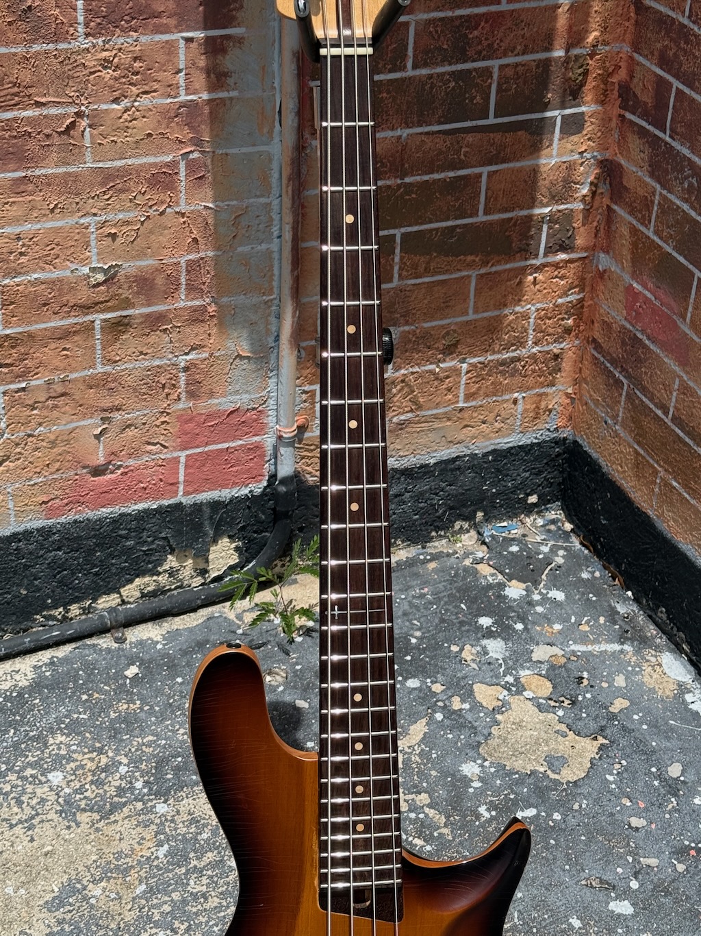 2020 Warrior Bella “California Exclusive” Bass