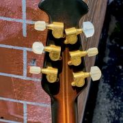 1991 Ovation 1869 Custom Legend