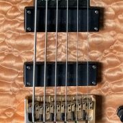 1999 Modulus Quantum 6 Bass