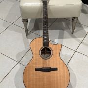 2021 Taylor 814ce-N Grand Auditorium Classical