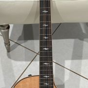 2021 Taylor 814ce-N Grand Auditorium Classical