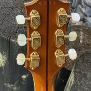 1958 Guild X-500 Special