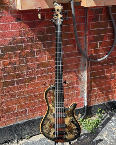 2023 Mayones Caledonius 5-String Bass
