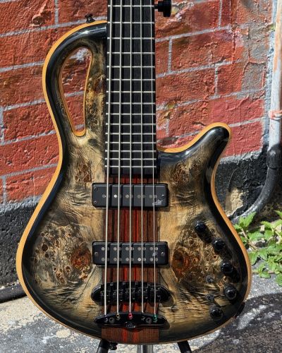 2023 Mayones Caledonius 5-String Bass