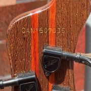 2023 Mayones Caledonius 5-String Bass