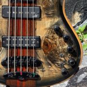 2023 Mayones Caledonius 5-String Bass