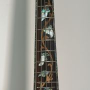 2015 Warrior Isabella 5 String 20th Anniversary Bass