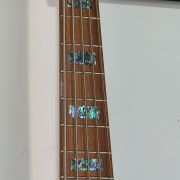 2020 Warrior DM 5 String NAMM # 9 Bass