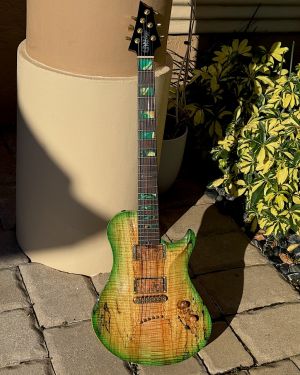 2010 Warrior Isabella Guitar
