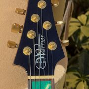 2010 Warrior Isabella Guitar