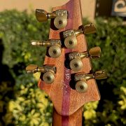 2010 Warrior Isabella Guitar