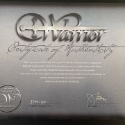 2010 Warrior Isabella Guitar