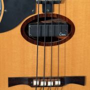 2009 Citron AE-4 Swallow 4-String Bass