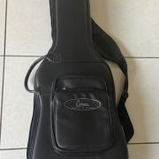 2009 Citron AE-4 Swallow 4-String Bass