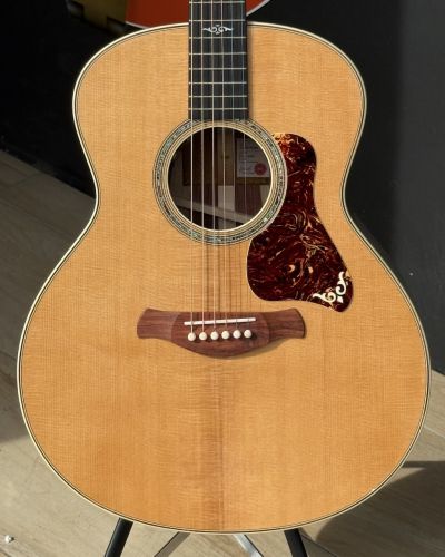 2025 Taylor Gold Label 814e