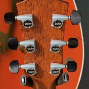 2025 Taylor Gold Label 814e