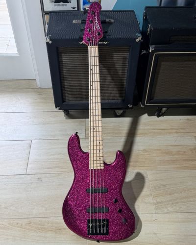 2025 Funk J Series 5-String Bass