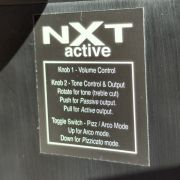 2020 NS Design NXTa Active Series 4-String Omni Bass